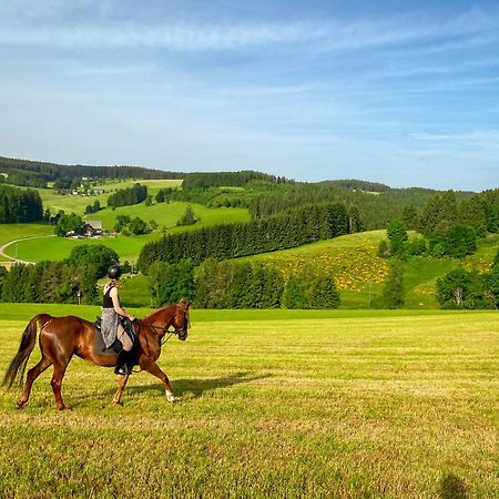 Ferienhof Gerda St. Georgen im Schwarzwald Exterior foto